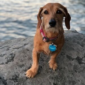 Meet your Posher, Clare